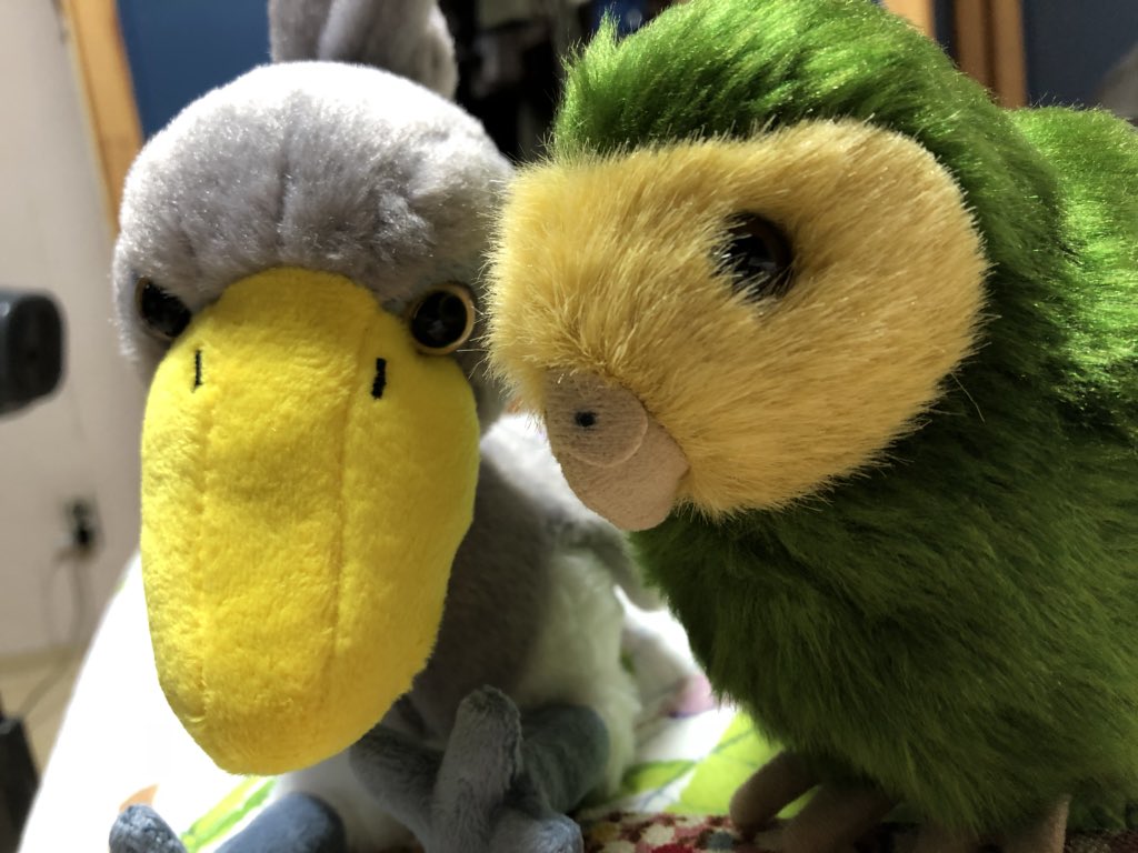 March Hare tweet media