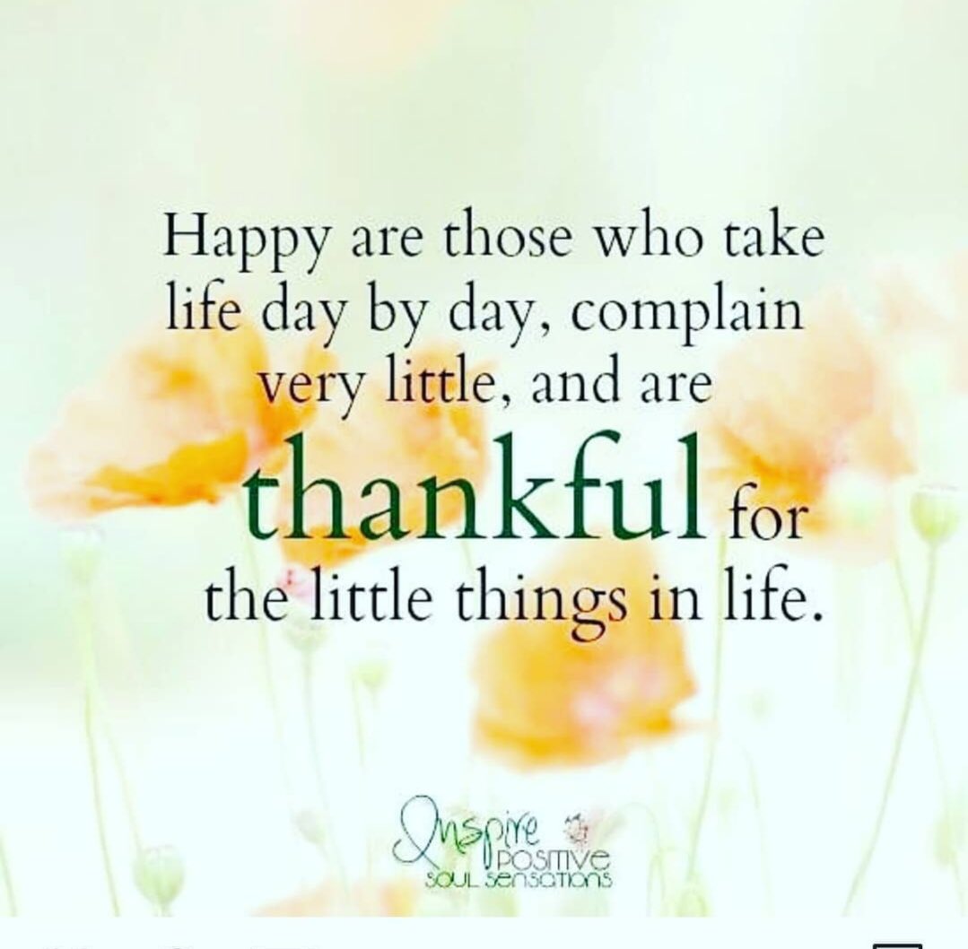 FaaizaTayob's tweet photo. #live #life #love #pray #Picoftheday #sayings #lifequotes  #islam #lovetopray #jannah #wisdom #follow #photooftheday #thoughtoftheday #sayingoftheday #inspiration #inspire #motivate #quotes #positiveattitude #positivethoughts #motivation #quotestoliveby #happiness #blessed #smile https://t.co/U08CqdUsvz