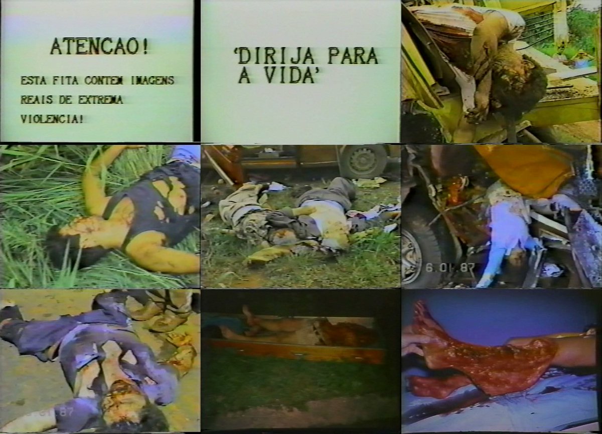 shockumentary's tweet photo. DIRIJA PARA A VIDA https://t.co/T3NDDENBEH