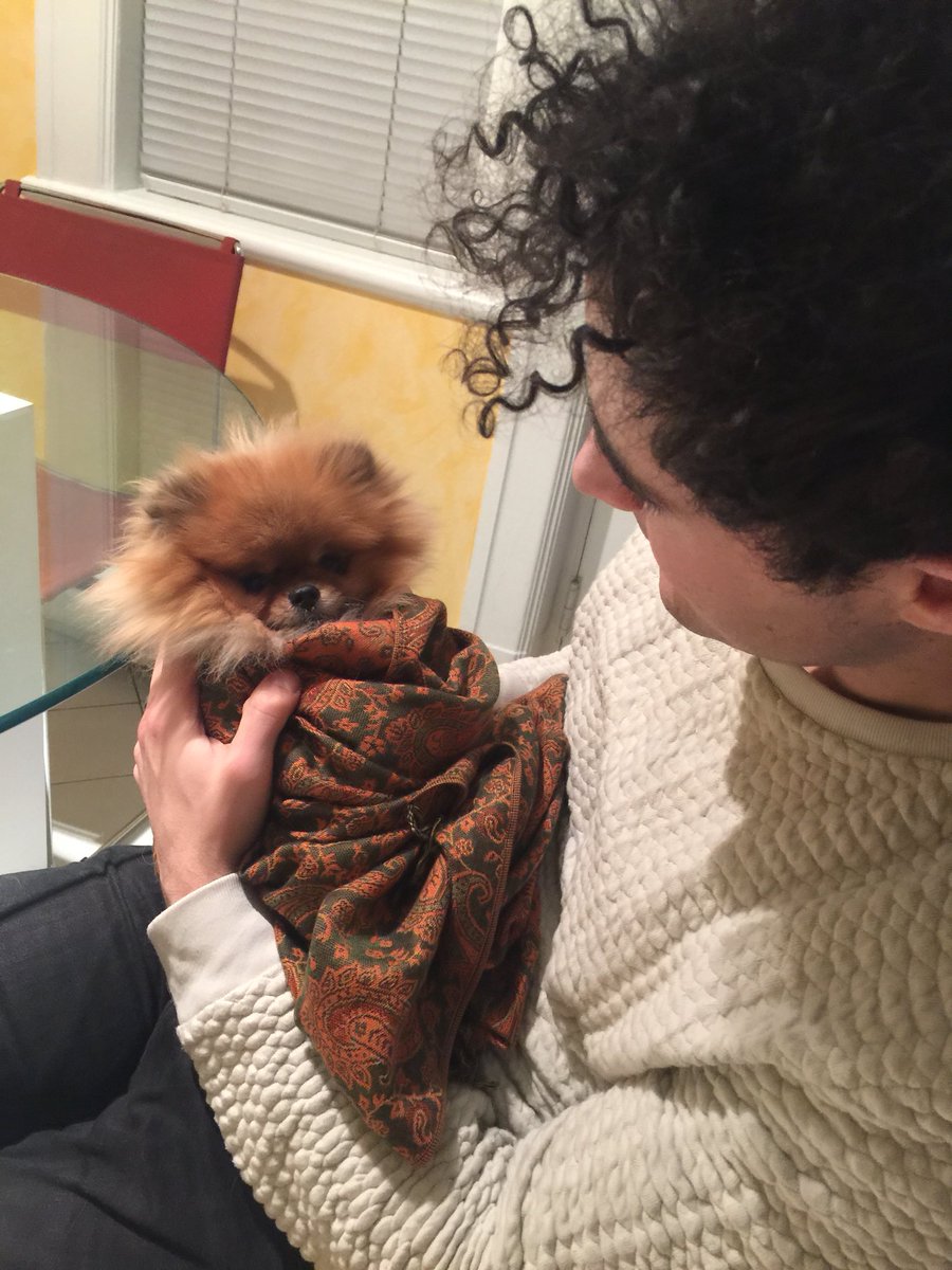 jakeandfanny's tweet photo. @lauvsongs look how much better life is https://t.co/M7ZxSJaoNf