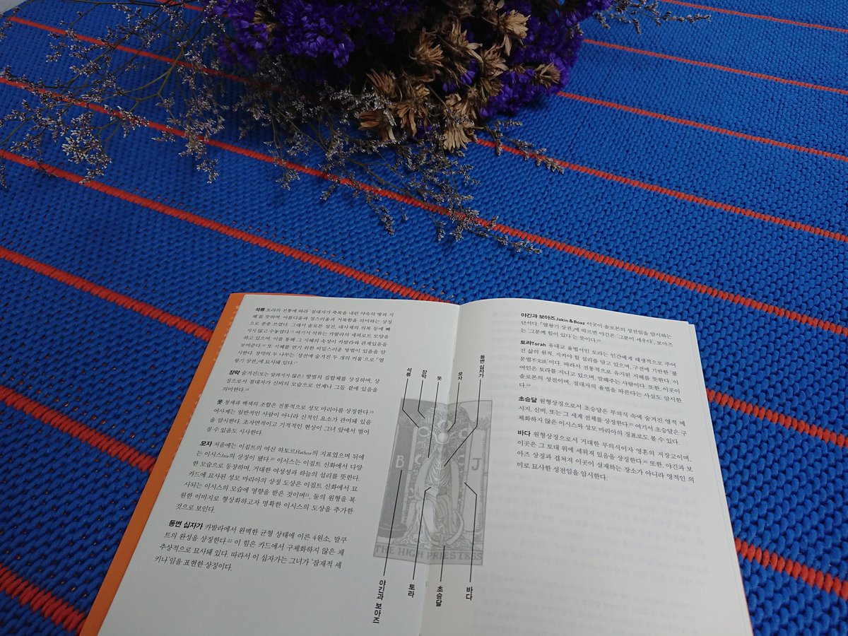 『ADHD 뇌는 처음이라서』 출간한 유로스 tweet media