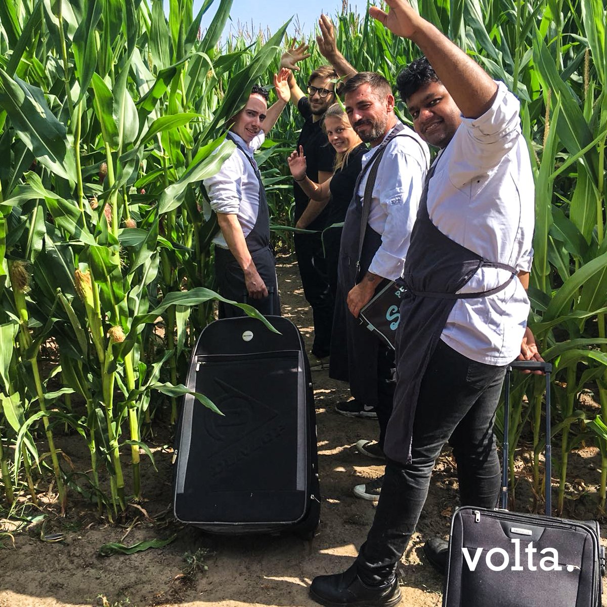 Volta Gent tweet media