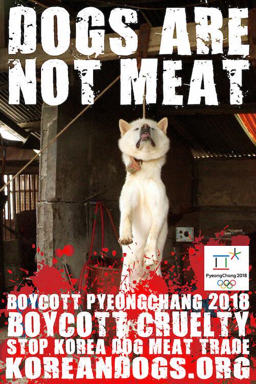 scorpion9772's tweet photo. .@WHO .@UNDPasiapac #SouthKorea is expected 2 #SLAUGHTER as high as up to 1 Million #dogs during #Boknal 2 make #Soup 2 #COOL! The #Boknal days R: Chobok - July 17Joongbok - July 27
Malbok - August 16. #TORUTURE #ELECTROCUTION #BEATEN 2 Death, Cooked #ALIVE after LiFE of #CUELTY! https://t.co/ll4KdscIxH