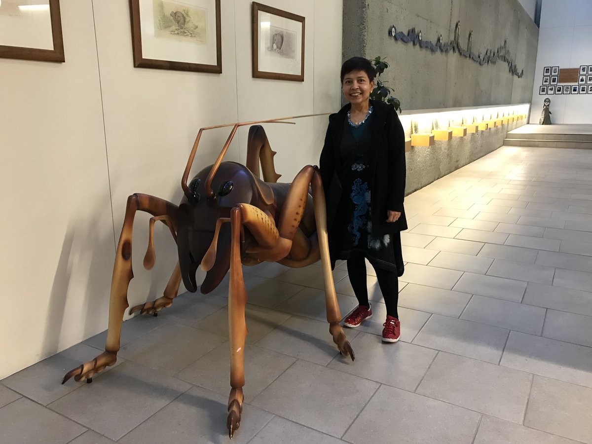 catwhisperer69's tweet photo. I hope to never meet a weta this big. This chap lives in the DOC building. #weta #departmentofconservation https://t.co/J69xPg51X5