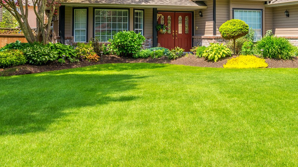 Daleys_Turf's tweet photo. Have been weed infestation, insect and fungal damage, water requirements and poor appearance. If you have a fair amount of turf knowledge, time and effort many of these problems could be controlled, however time is precious. https://t.co/Hjz7lQafZT https://t.co/wYiHsTdrg6