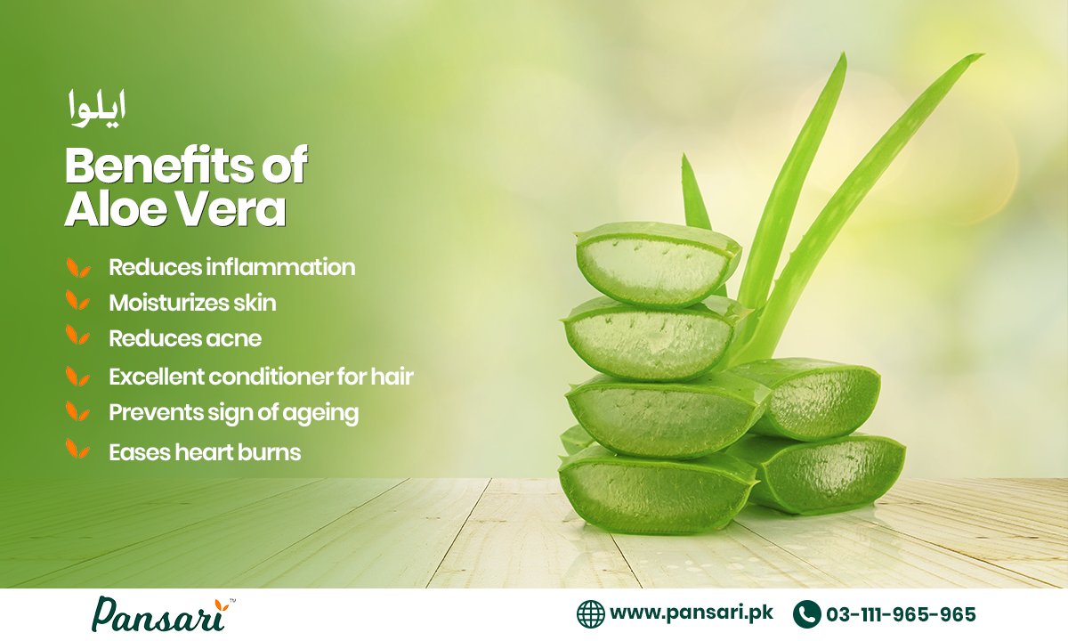 Aloe vera contains many vitamins and minerals vital for proper growth and function of all the body’s systems.

#Pansari #AloeVera #SkinCare #OverallHealth #HairCare #ReducesAcne #MoisturizesSkin #HerbBenefits #StayHealthy #GoHerbal #Organic #PremiumQualityHerbs #CuresByNature