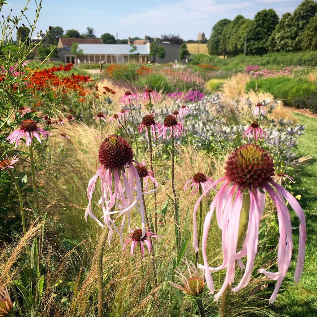 Awed by the immersive beauty of the perennial meadow in the PietOudolf garden @HWSomerset 

It’s at peak summer perfection at the moment before the dreamy decay of autumn. 
#pietoudolf #gardeninspiration