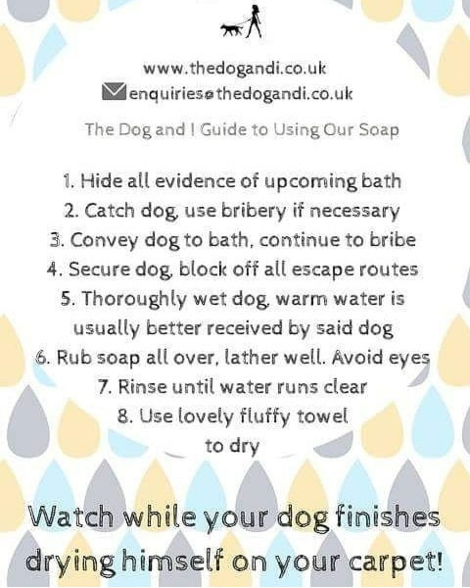TheDogAndI1's tweet photo. New soap flyers ordered! Thats 2500 we have got through in 6 months. Spreading the soap for dogs word! #plasticfreejuly #soapfordogs #dorsetbusiness https://t.co/UR909rmKrI