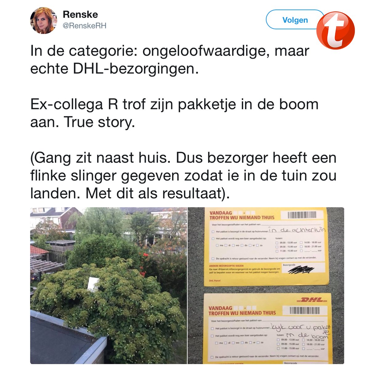 "Dat is er géén van Tempo-Team." 😂 Retweet: <a href="/RenskeRH/">Renske Holwerda</a>  #TempoTeam #DHL #pakketbezorger