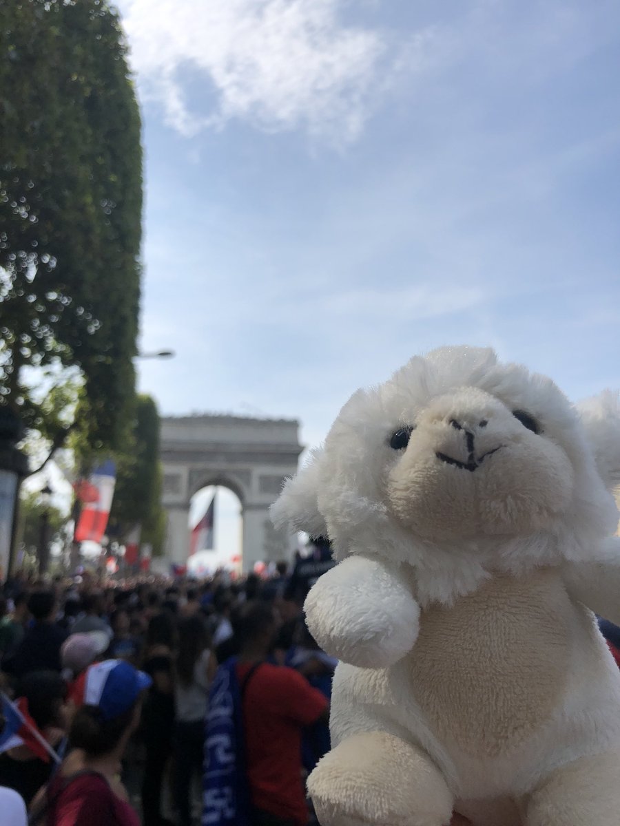 ccornavin's tweet photo. #fluffymccloud celebrated the world’s champions too ! #talend #WorldChampions2018 #AllezLesBleus https://t.co/g37LTkHNMe