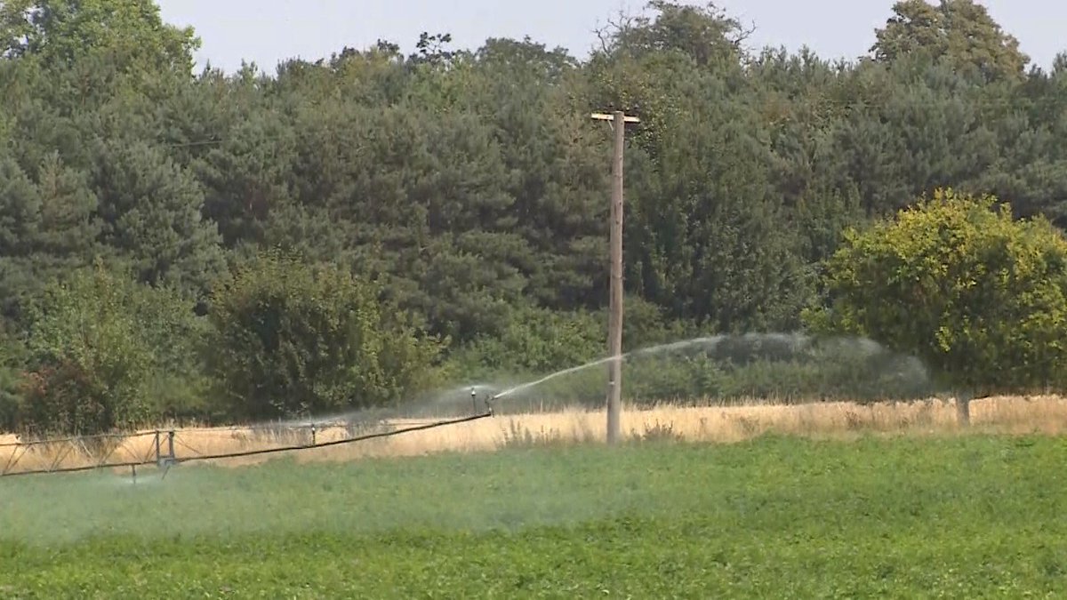 itvanglia's tweet image. Anglian Water have revealed that there are no plans for a hosepipe ban in East Anglia, despite the recent spell of dry weather: ☀️

itv.com/news/anglia/20… #heatwave #hosepipeban