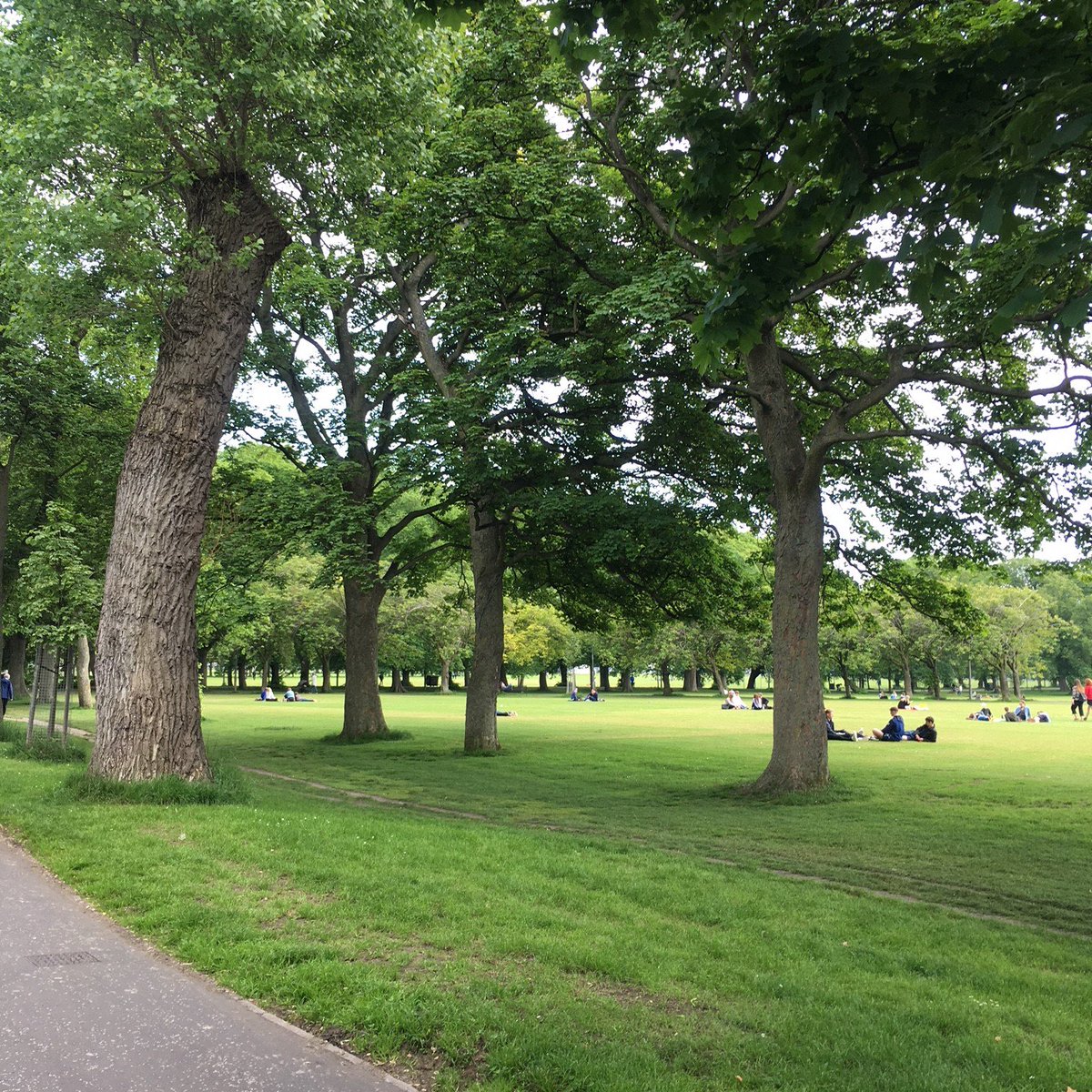 DestinationEdin's tweet photo. As the greenest city in the UK, Edinburgh is full of glorious parks and gardens to enjoy.  A favourite of ours is The Meadows, perfect for a picnic! #visitedinburgh #themeadows #destinationedinburgh #picnictime https://t.co/0FatLOXGIO