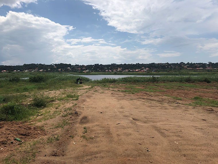observerug's tweet photo. Intern issued illegal land titles in Entebbe wetlands - gov't surveyor https://t.co/oXRsoEVwnX #Uganda #LandProbeUG https://t.co/Tr5iBldsN9
