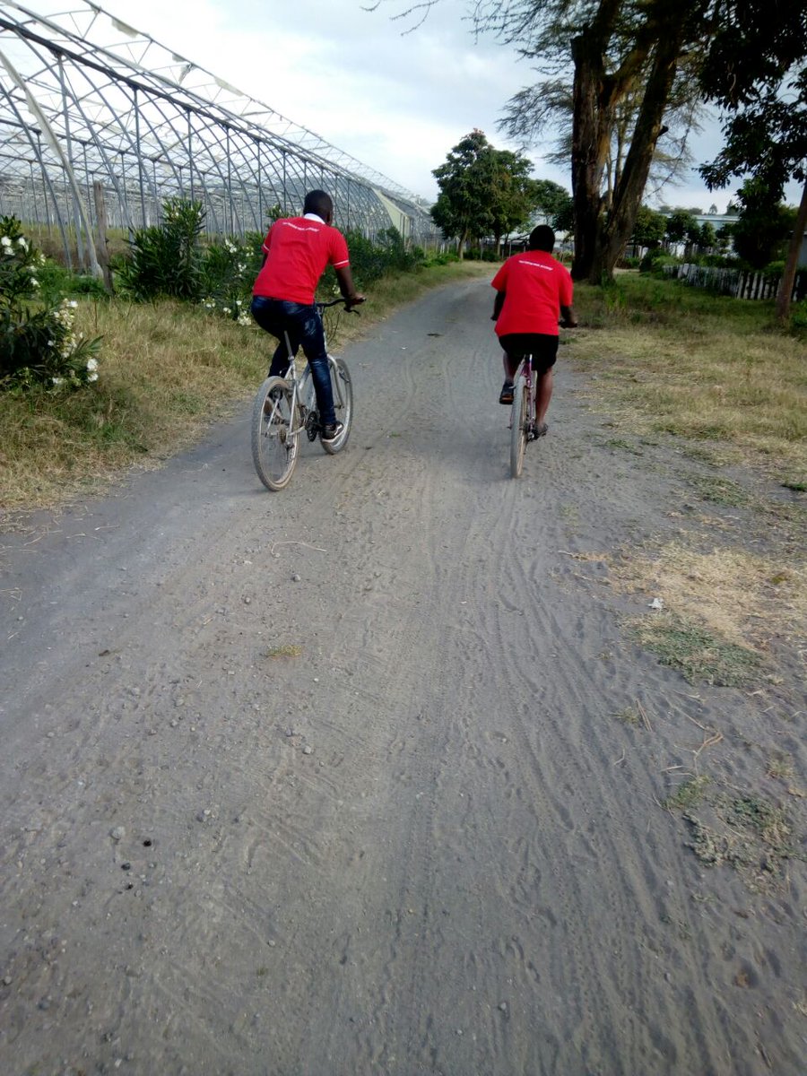 africa_nesia's tweet photo. #Teambuilding
#FamilyOutππ
Over the weekend, the staff went down to Naivasha at the magnificent Crayfish Camp Naivasha for team building because we believe that #Teamwork is the fuel that allows common people to attain uncommon results. https://t.co/Gtp1xXttOn