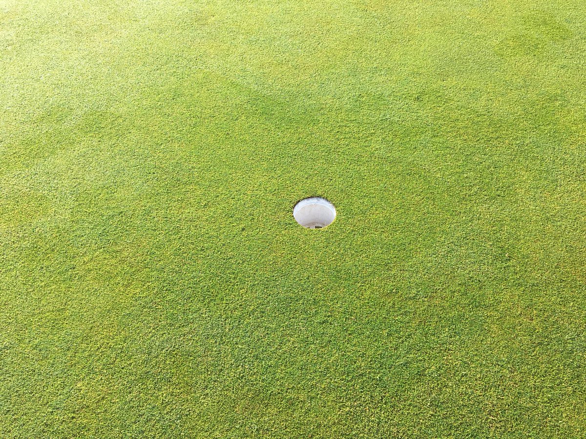 MarkSim93794378's tweet image. Course set-up for ladies captains day 🏌🏻‍♂️holes changed, whitened, greens cut and bunkers raked #tidy #shotgunstart #ladiesgolf @KingsdownGC