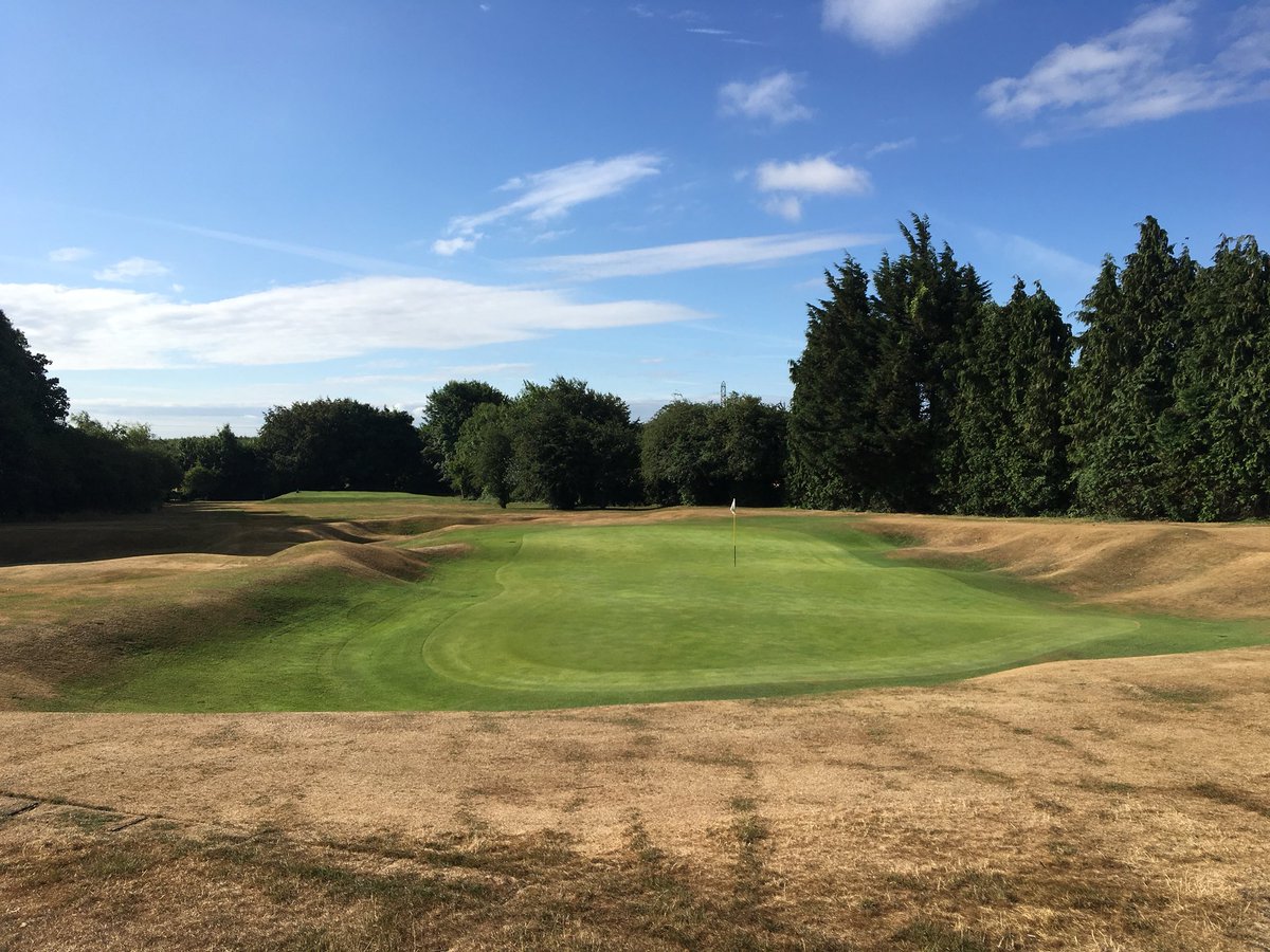 MarkSim93794378's tweet image. Course set-up for ladies captains day 🏌🏻‍♂️holes changed, whitened, greens cut and bunkers raked #tidy #shotgunstart #ladiesgolf @KingsdownGC