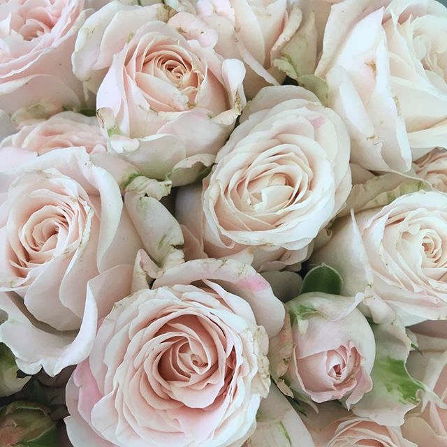 Paeony Floral Design tweet media