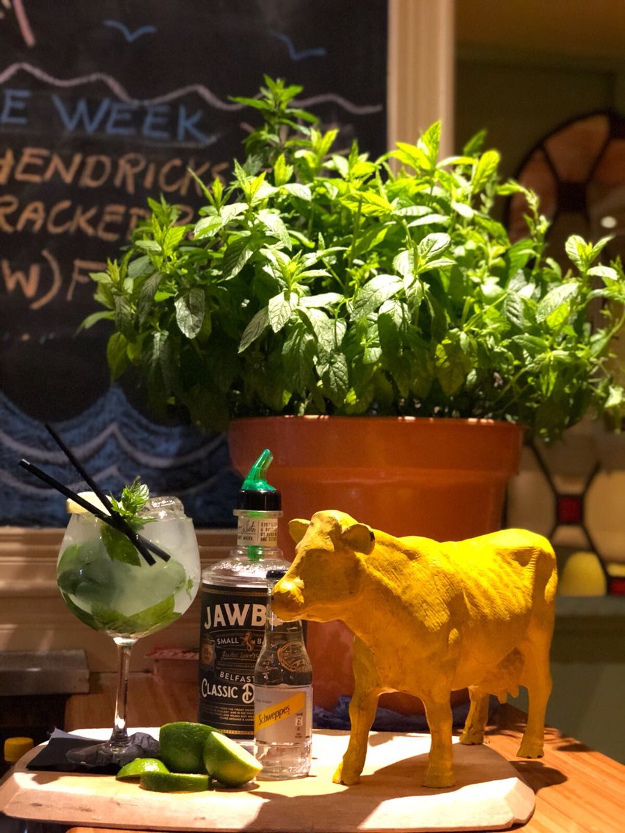 YellowHeifer's tweet photo. Jaw Box &amp; Tonic with home grown fresh mint @JawboxGin https://t.co/uxV0V8CDXS