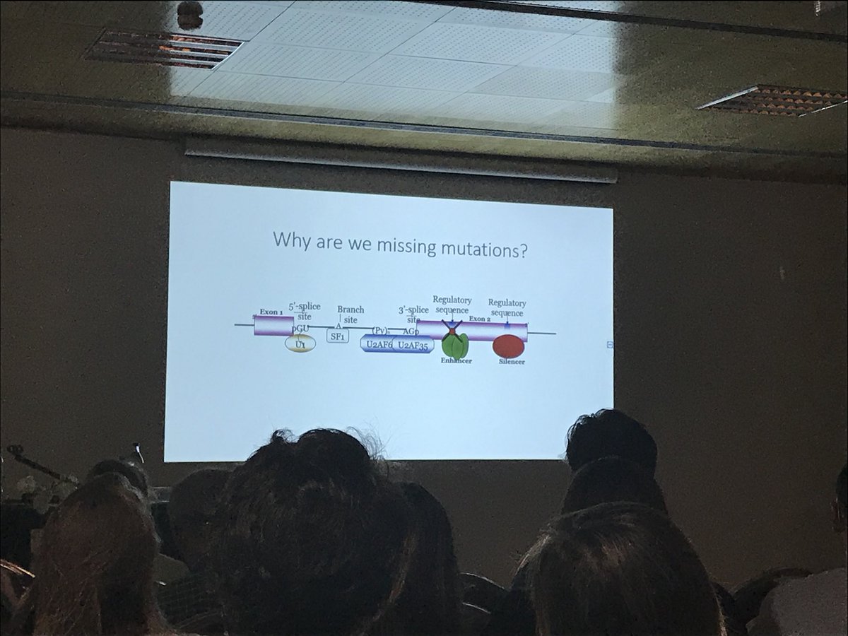 oligogirl's tweet photo. Diana Baralle from @unisouthampton presenting on how to identify mutations that affect splicing. First problem is that often only exons and DNA are analyzed. Of course for many diseases analyzing RNA from affected tissues is challenging. #splicing2018 https://t.co/E7dJNYtN6E