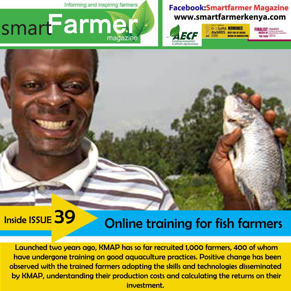 Online training for fish farmers
READ MORE HERE: smartfarmerkenya.com/online-trainin…
#Brekko