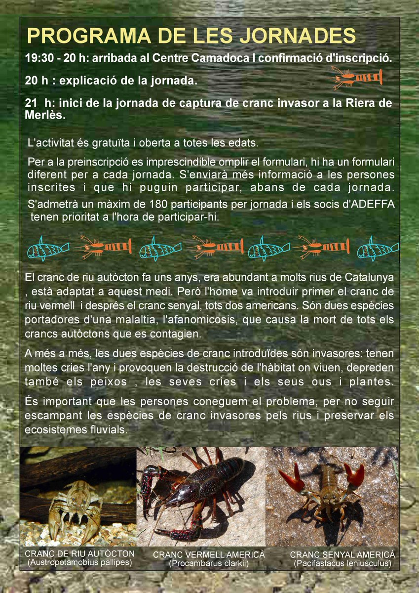 Cons_Llucanes's tweet photo. Avui és l'últim dia per apuntar-se a la jornada de captura de crancs invasors a la riera de Merlès per aquest proper dissabte 21 de juliol!
fes la inscripció aquí 👉 https://t.co/N8l7sTKkex
#ADEFFA https://t.co/R6QVaU6ASx
