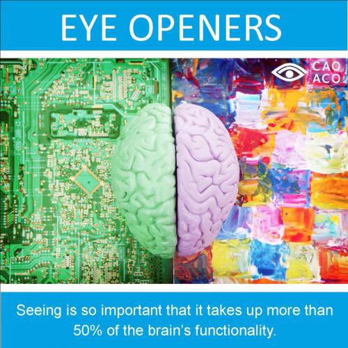 InViewOpticians's tweet image. The Eye - a complex organ, consisting of more than 2 million working parts!         
#BelmontCircle #Harrow