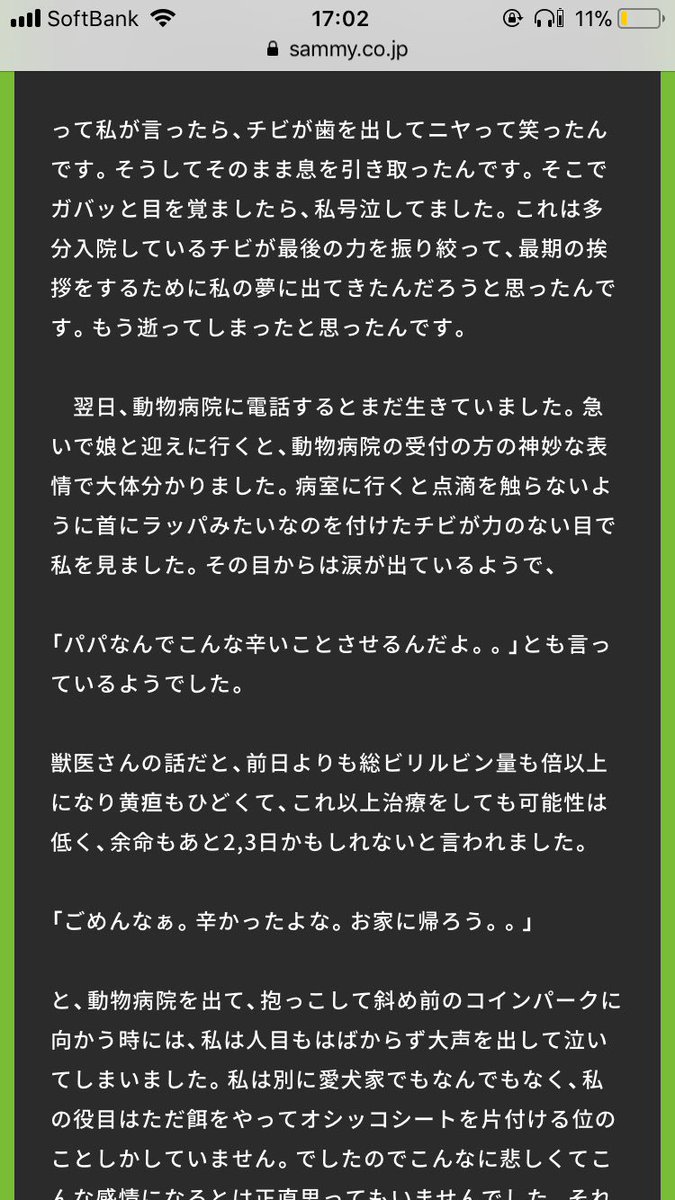 ktmmmmm1's tweet photo. Ryoさんのコラムめっちゃ涙出た。
自分の飼ってる犬ももっと大切にしようと思った。
犬がテーマの新曲が出るのも、このことがきっかけでもあるのかなって思う。

Ryoさんの家族と過ごせたチビは間違いなく幸せでしたよ。

@STfDkzP5jdXToWk https://t.co/hCCl5Dekso