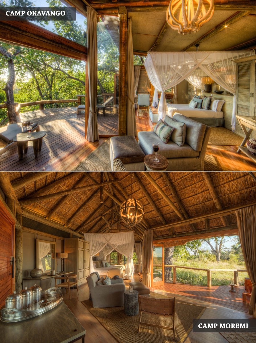 desertdelta's tweet photo. The perfect luxury safari lodge combination with the new #CampOkavango and #CampMoremi! Exceptional game viewing in Moremi and a fully immersive Okavango Delta experience at Camp Okavango. https://t.co/aDK0sPPxHi