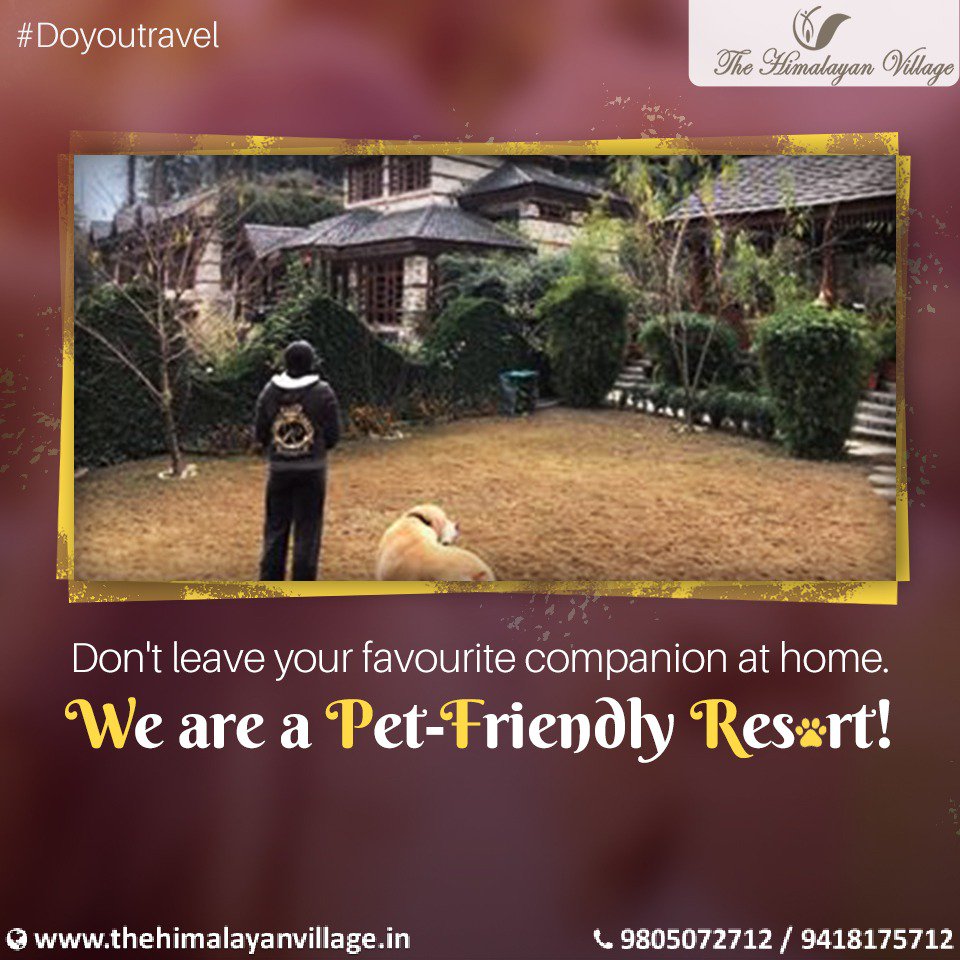 kailashathv's tweet photo. Why to travel alone if you can take your Pet friend with you on hills.
Visit us: https://t.co/dU5r5YQwLS
Call us: +91-9805072712 / 9418175712
#Himalayan #HimalayanVillage #HimalayanResort #PetFriendly #Traveller #Mountains #DoYouTravel https://t.co/kRxR6JraQZ