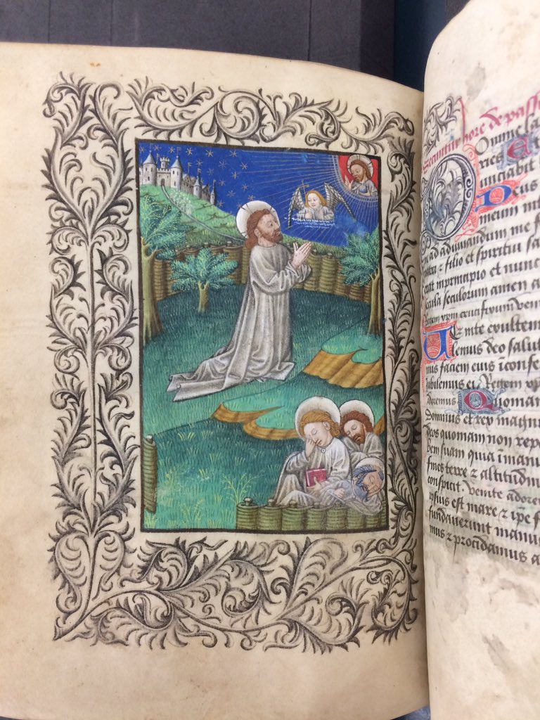 Harley 2915 illuminated manuscript