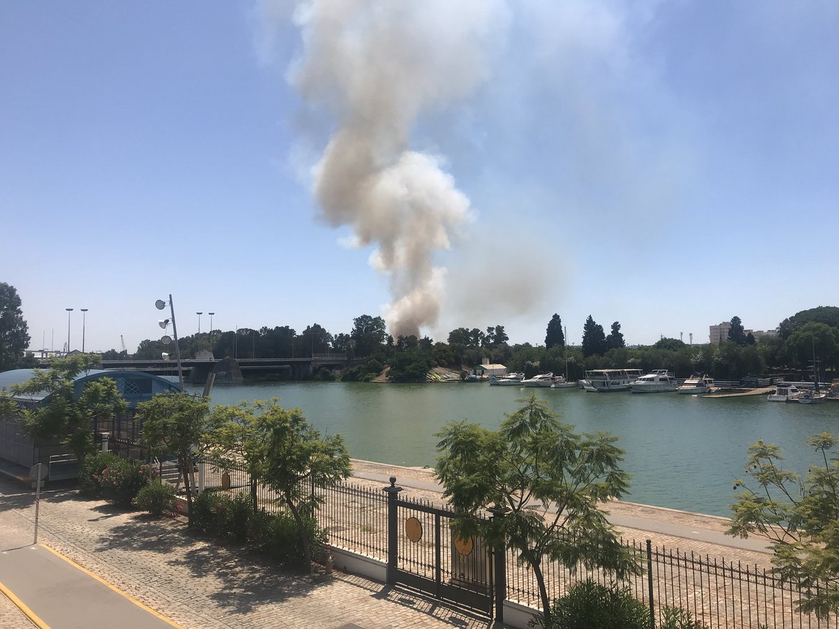 EmergenciasSev's tweet photo. La columna de humo se divisa desde distintas zonas de #Sevilla. #StopBulos
Incendio de pastos en inmediaciones de Esclusa @Puerto_Sevilla
#Bomberos
Foto: @Amunozperez https://t.co/D9fhSrYoAP