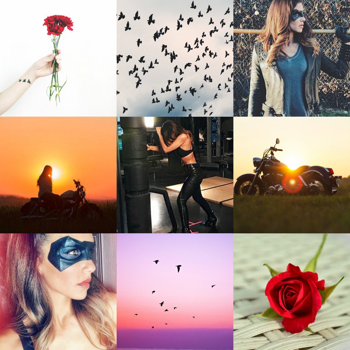 Dinah Drake (@sonicsiren1) on Twitter photo 