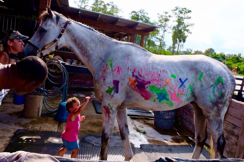 westpointtbred's tweet image. Former WPT runner Grey Glory was retired last year and adopted by one of his Partners. He's the sweetest horse. Pictured playing "unicorn" at a kids birthday party over the weekend in Florida.