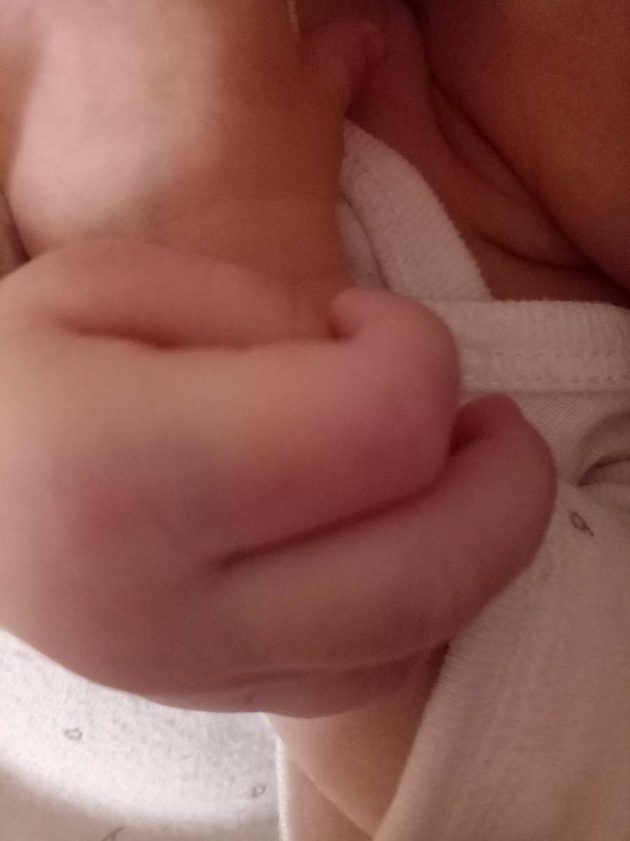 HadyaBil's tweet photo. Brestfeeding my baby &amp; playing on repeat #krahni @elissakh https://t.co/jW14fxBlVJ