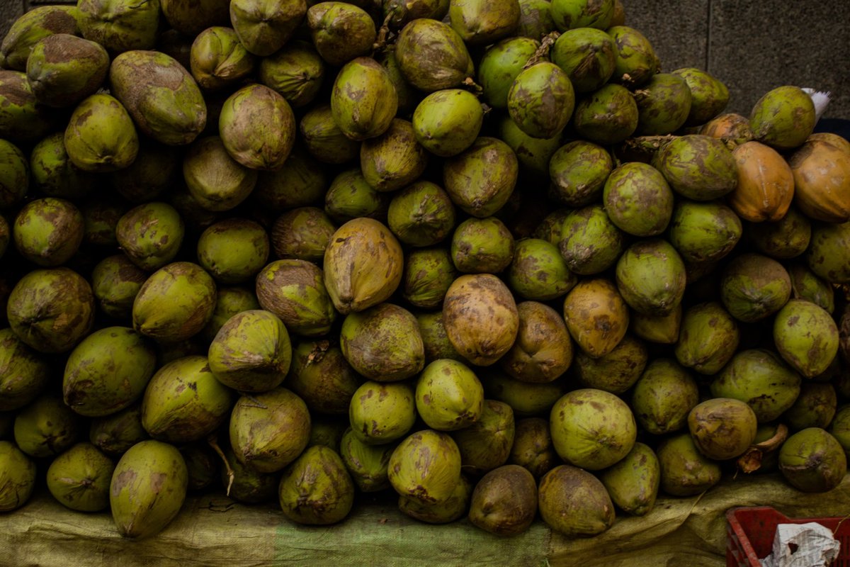 Coconuts for daysssss. We live in a part of #india where #coconuts are not really used in the cuisine, but whenever I'm down south I pack'em in! Actually our main diet consists of rice, roti, dahl (lentils) and chai. Pure deliciousness. #nomnomnom ⠀⠀⠀⠀⠀⠀⠀⠀