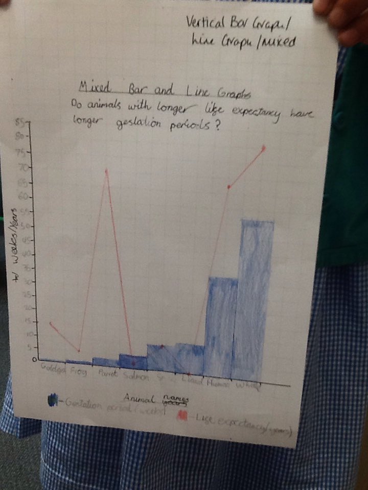 uptonclass5b17's tweet photo. Graphs to show the link between life expectancy and gestation periods. Which do you think shows the data the best? https://t.co/qD8AMzLwvT