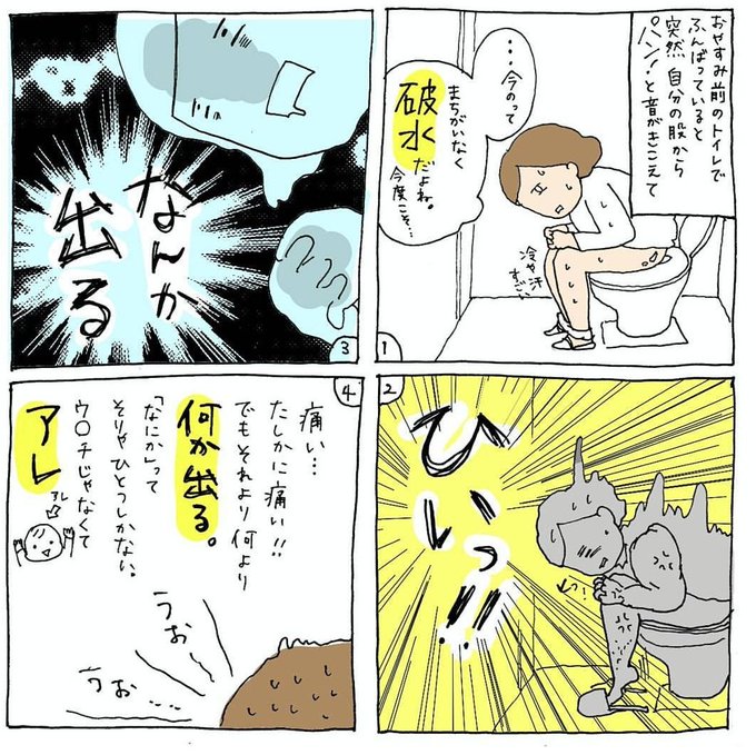 50 出産 漫画 面白い 最高の動物画像