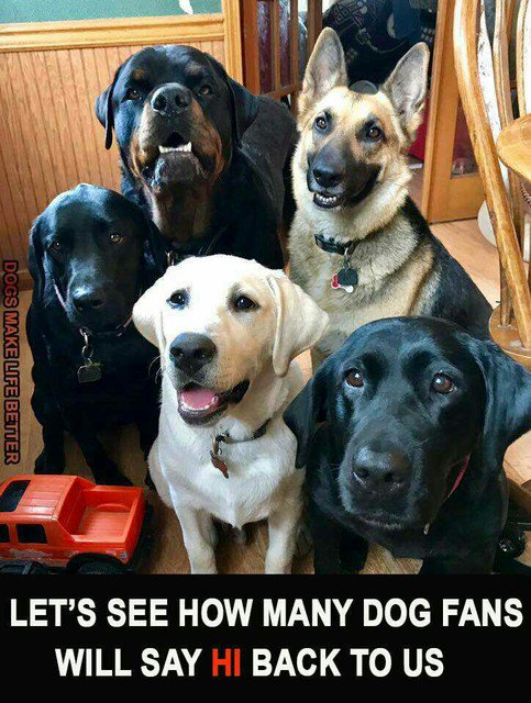 💑I TRUE LOVE 💏 (@sonofsardar1166) on Twitter photo 