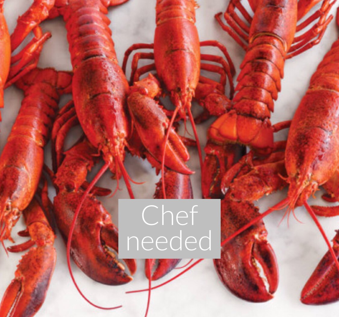 Jeffthechefhogs's tweet photo. Chef needed 2nd to 5th August https://t.co/Oesi2L2n7n