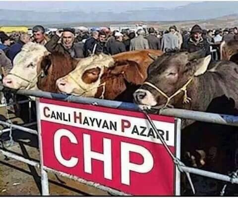 #KılıçdaroğluNeSöyledi

KeMAL Ve sürüsü😂