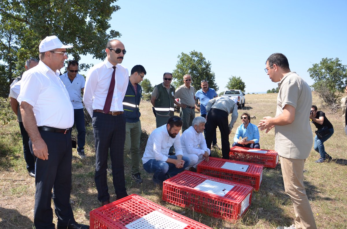 sindirgi.gov.tr/sindirgidan-do…