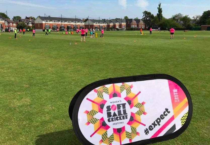 Northumberland Softball Cricket tweet media