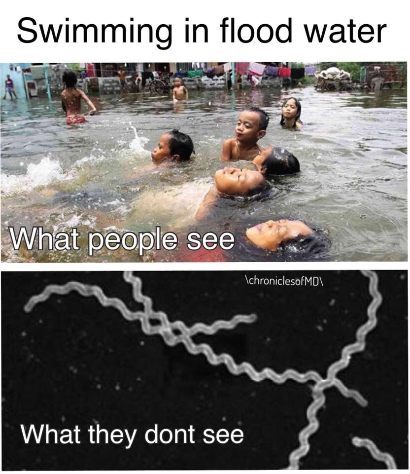 Medtech Must Know 💉 tweet media