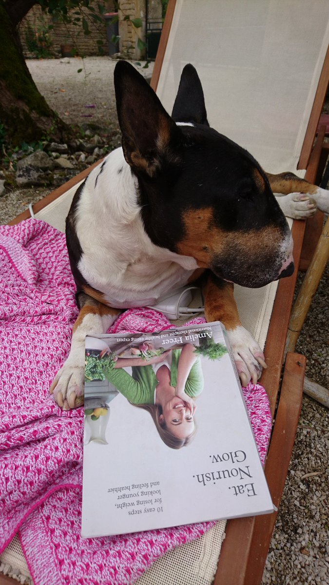 Brando nourishing his body ahead of his appearance at this year's <a href="/pupaid/">Pup Aid 2026</a> #eatnourishwoof #primrosehill @AmeliaFreer