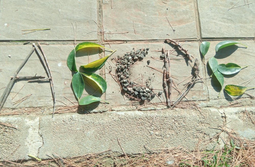 TeachersOutside's tweet photo. Our new activity this week develops letter recognition and fine motor skills as your class complete task cards by making letters of the alphabet out of natural materials. 

https://t.co/gT8AkjNJPm https://t.co/mOEcVomZrs