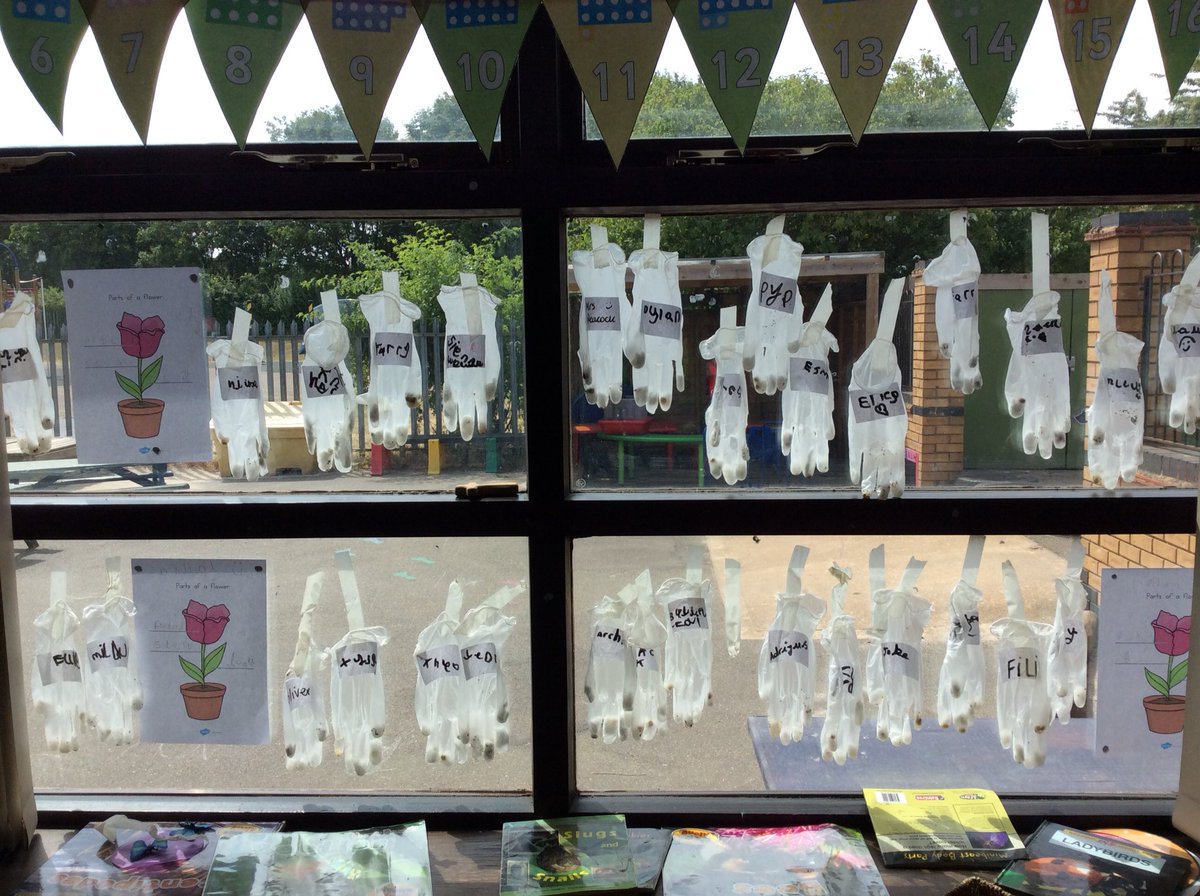 WilliamLawSch's tweet photo. EYFS are growing mad today! Weβve loved making a growing glove and learning about the different parts of a plant. What will we grow? #growingmad https://t.co/z2IkQKIjmC