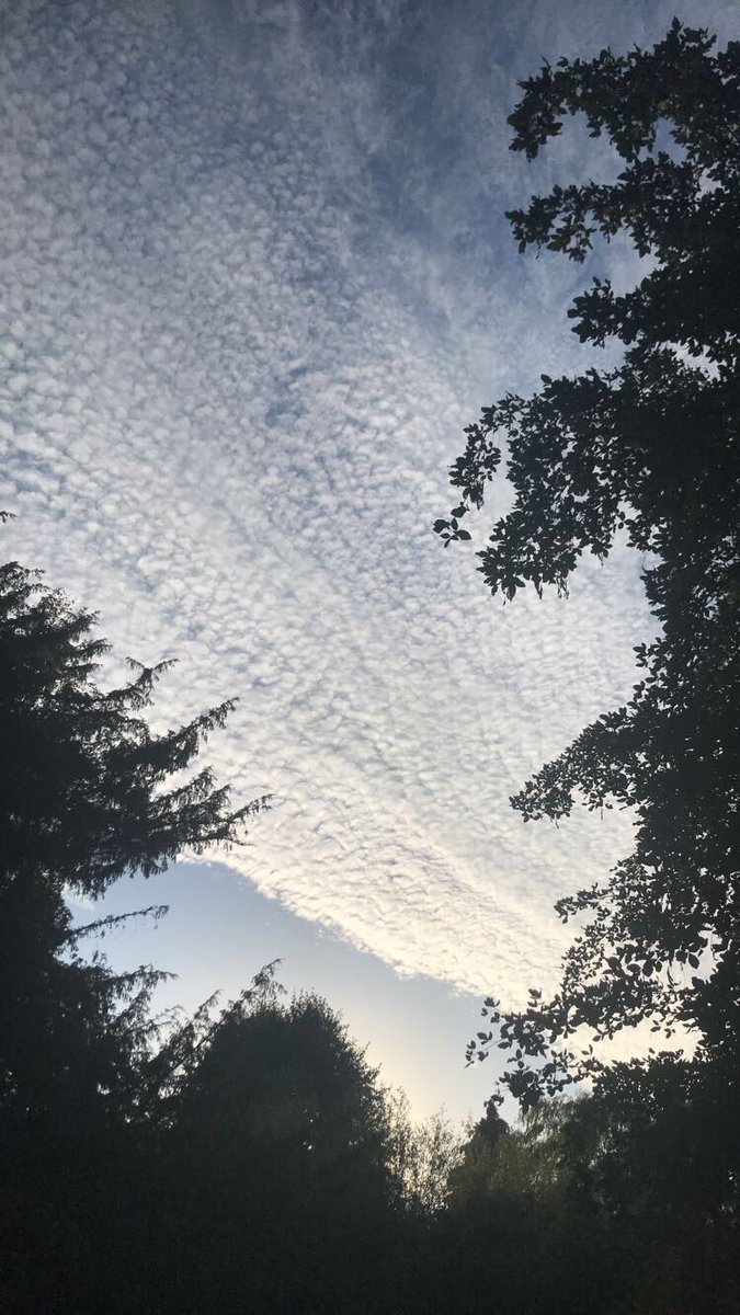 EmberFPS's tweet image. 