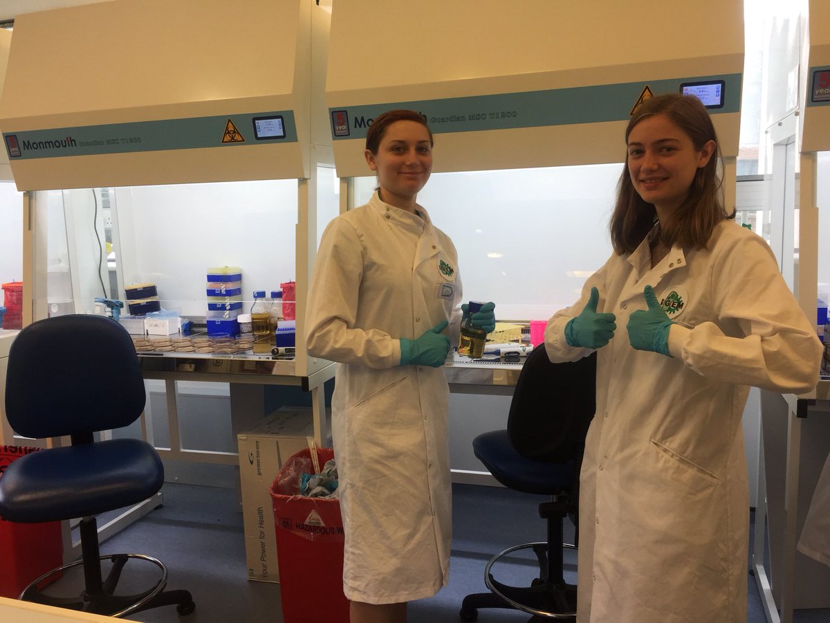 exeter_igem's tweet photo. Some of the team keeping up the good work in the lab! #InterlabGoesOn #iGEM #ExeteriGEM #iGEM2018 https://t.co/szPtAYy0zn