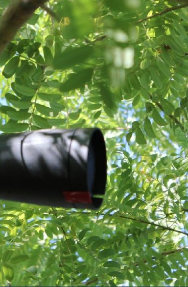 RogerDRamsey's tweet photo. The 8- full range satellites finish the high fidelity sound field.  By placing 4- left channel &amp; 4- right channel satellites within the landscape- creating an acoustical bubble- you maximize the surround sound quality while minimizing sound pollution onto neighboring properties. https://t.co/MUaEri6eCt