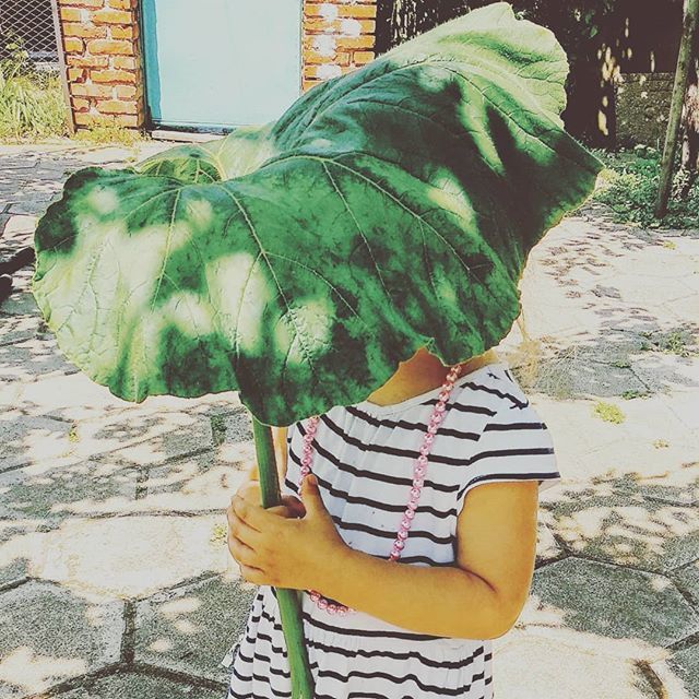 artelie's tweet photo. Under my umbrella βοΈ
.
.
.
.
.
#umbrella #undermyumbrella #rain #raingirl #girl #hugeleaf #leaf #childrenfantasy #creativity #kidscreations #natureinspired #kidsandnature #pearls #pearlsnecklace #village #outsidesofia #summermood https://t.co/2H8lggJX8G